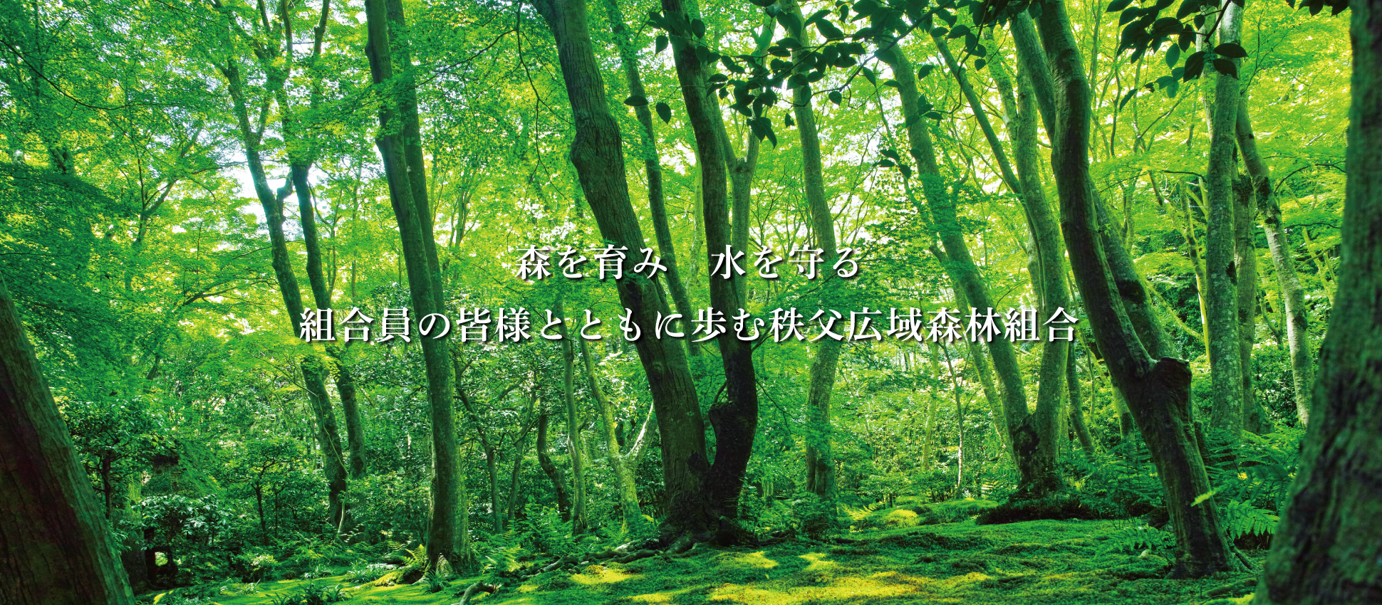 森を育み水を守る 組合員の皆様とともに歩む秩父広域森林組合