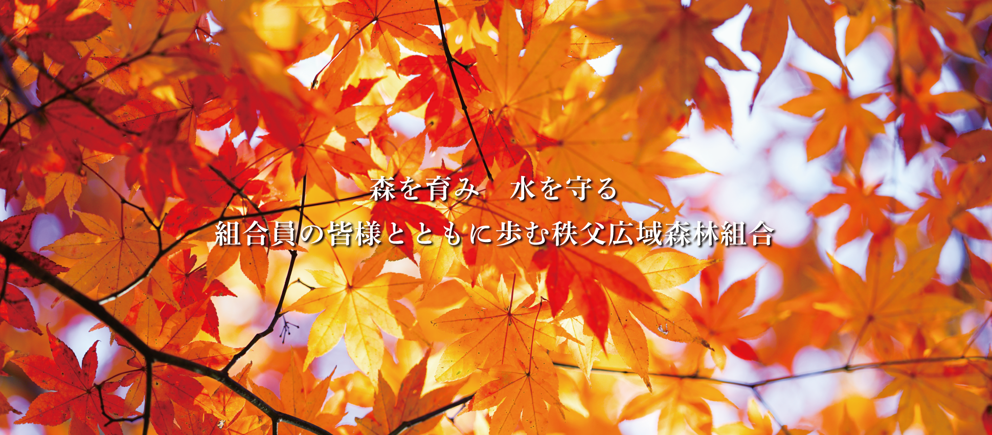 森を育み水を守る 組合員の皆様とともに歩む秩父広域森林組合